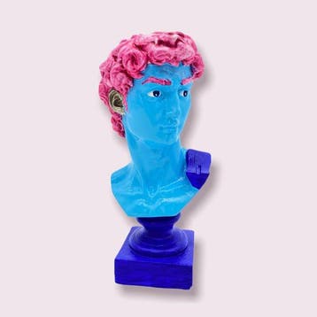 Sviatlana Petushkova - Blue David with Pink Hair