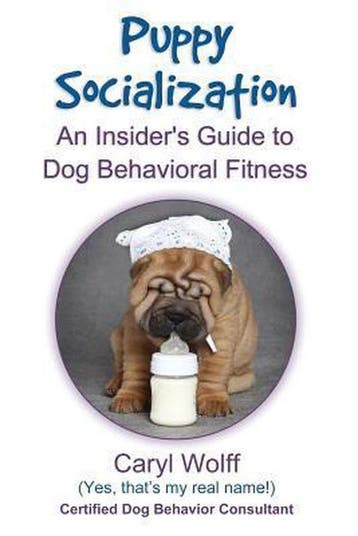 Puppy Socialization - Caryl Wolff 9781500181901, Verzenden, Gelezen, Caryl Wolff