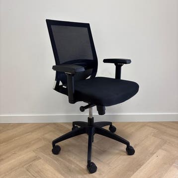 ergonomische bureaustoel + lendesteun, zwart, Ophalen of Verzenden, Ergonomisch, Gebruikt, Bureaustoel
