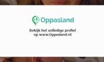 Ik ben Kirsten, 22 jaar oud en ik zoek oppaswerk in Den H...