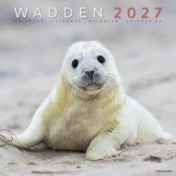 Wadden maandkalender 2027, Ophalen of Verzenden, Nieuw in verpakking