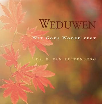 WEDUWEN - P. Ruitenburg 9789033125386, Verzenden, Zo goed als nieuw, P. Ruitenburg