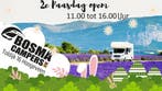 2e PAASDAG GEOPEND BOSMA CAMPERS BV HOOGEVEEN!!, Caravans en Kamperen, Campers, Diesel, Tot en met 5, Half-integraal