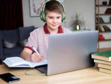 Online Bijles - Geverifieerde docent binnen 1 uur, Privéles, Bijles