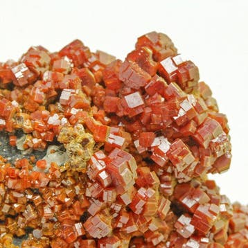Glanzend rood vanadiet Kristallen op matrix - Hoogte: 6.8 cm