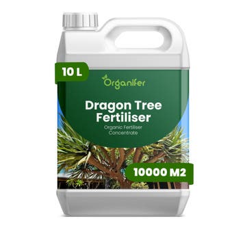 Drakenboom Vloeibare Meststof - 10 liter, Verzenden, Mest