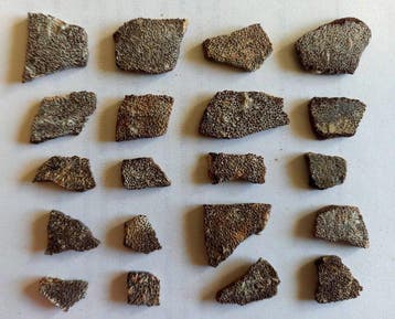 Schelpen van dinosauruseieren uit Frankrijk. -