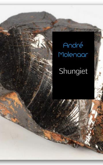 Shungiet - André Molenaar 9789402129762, Verzenden, Zo goed als nieuw, André Molenaar