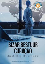 9789492247018 Bizar bestuur Curacao Miguel Goede, Verzenden, Nieuw, Miguel Goede