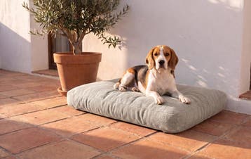 Hondenkussen buiten, plof rechthoek, vanaf €79, Dieren en Toebehoren, Honden-accessoires, Nieuw