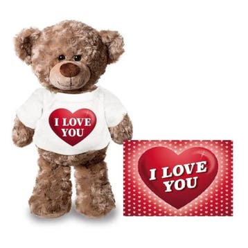 Teddybeer knuffel - pluche - 24 cm - I Love You - met shirt, Verzenden, Nieuw