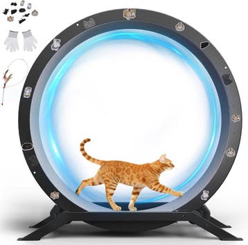 Katten loopwiel - Looprad voor kat - Kattenwiel - Zwart - GT, Verzenden, Zo goed als nieuw