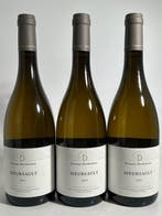 2024 Domaine Berthelemot - Meursault - 3 Flessen (0.75, Verzamelen, Wijnen, Nieuw