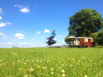 ** Natuurhuisje Veluwe ** Vakantie Woning Boerderij huisje, Aan meer of rivier, Overige typen, Huisdier toegestaan, Landelijk