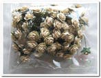 Mulberry Roosjes Creme 10-15 mm pak, Ophalen of Verzenden, Nieuw