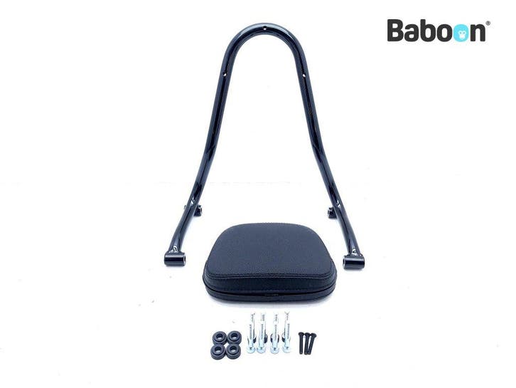 Sissybar BMW R 18 (18110-002), Motoren, Onderdelen | BMW, Gebruikt, Verzenden