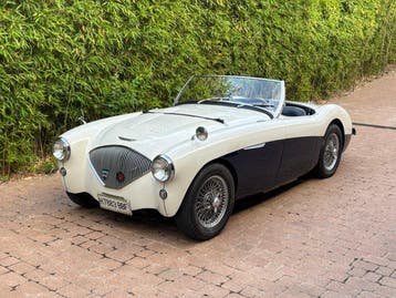 Austin Healey - 100M - 1956