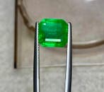 1 pcs Groen Smaragd - 6.16 ct - nternational Colored, Nieuw