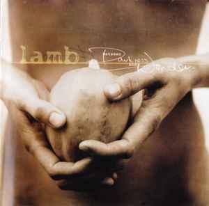 cd - Lamb - Between Darkness And Wonder, Verzenden, Zo goed als nieuw