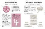 Psychologie / Zien & begrijpen 9789463596367 Nicky Dr. Hayes, Verzenden, Gelezen, Nicky Dr. Hayes