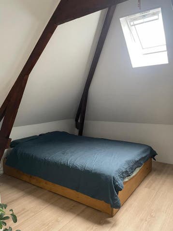 Te huur: Appartement Burgemeester van Roijensingel in Zwolle, Zwolle, Overijssel, Appartement