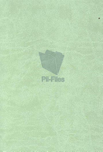 9789083226606 Pii-Files Pii Daenen, Verzenden, Nieuw, Pii Daenen