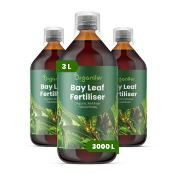 Laurierblad Vloeibare Meststof - 3x1 Liter, Verzenden, Mest