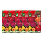 Bloemzaden zinnia | VT | 5 stuks (Gemengd), Verzenden