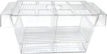 Osaka Breederbox / kweekbakje Small (Kweken), Ophalen of Verzenden, Nieuw, Overige typen