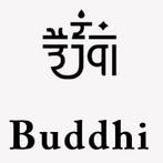 Buddhi Training: The Art of Being. Vijf weken online + Ibiza