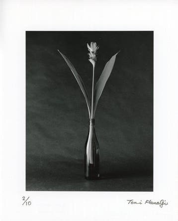 Tenmi Hanagi - FLEURISME-curcuma - gelatin silver print