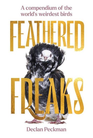 Feathered freaks - Declan Peckman 9781923049482, Verzenden, Zo goed als nieuw, Declan Peckman