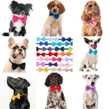 Jute zakje met gelukspoppetje Happy Dog + vulling naar keuze, Dieren en Toebehoren, Ophalen of Verzenden, Nieuw