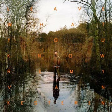 REMY VAN KESTEREN - LEAVE WHAT YOU KNOW (LP), Verzenden, Nieuw in verpakking