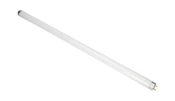 Eurom Reservelamp Fly Away 40 | 20W UV-lamp | Vliegenlamp Ve, Verzenden, Nieuw