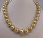 Zonder minimumprijs - Halsketting - 14 karaat Geel goud,, Nieuw