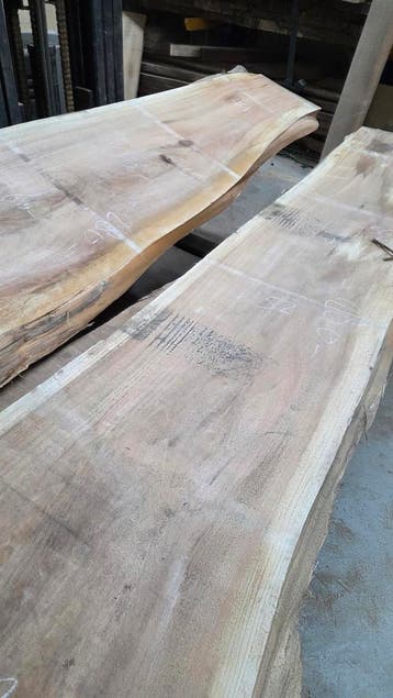 OPRUIMING – 2 massieve Sequoia planken – 280 cm lang, Ophalen, Nieuw, 250 tot 300 cm, Plank