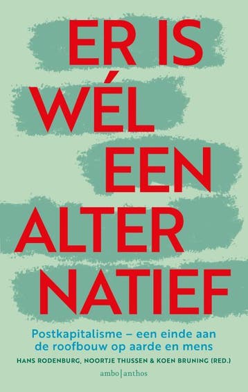 Er is wél een alternatief 9789026364471 Hans Rodenburg, Verzenden, Gelezen, Hans Rodenburg
