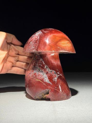 GEEN RESERVEPRIJS - Handgesneden Rode Jaspis Paddenstoel -