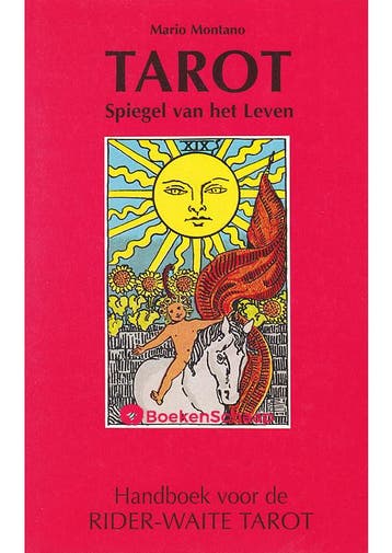 Tarot Spiegel van het leven Mario Montano, Verzenden, Gelezen