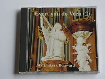 Evert van de Veen (2) - Martinikerk Bolsward, Ophalen of Verzenden, Zo goed als nieuw