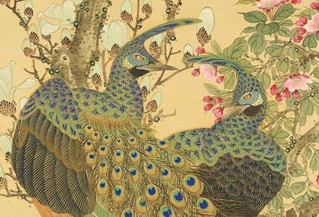 Gyokudofuki - Pair of Peafowls with box - Karashima