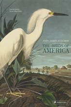 9783791379142 The Birds of America John James Audubon, Verzenden, Nieuw, John James Audubon