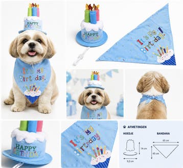 Honden Verjaardag Set – Verjaardagshoedje & Bandana – It, Ophalen of Verzenden, Nieuw