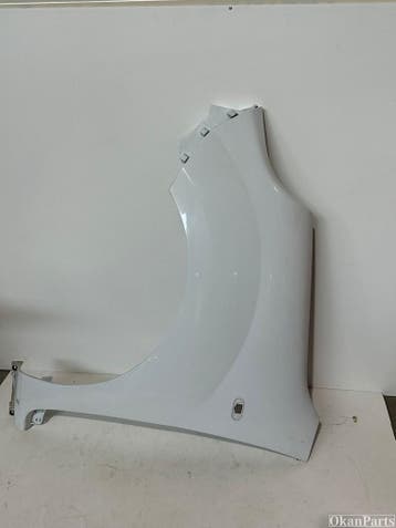 Renault Kangoo II linker zijscherm links 631015870R, Ophalen, Gebruikt, Voor, Renault