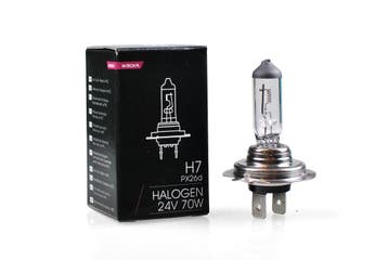 M-Tech - H7 24V 70W - Basic, Verzenden, Nieuw