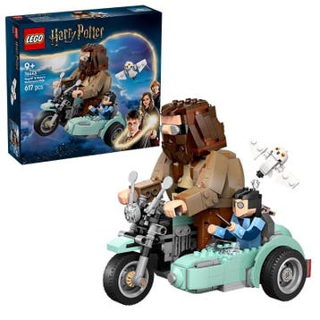 LEGO Harry Potter - Hagrid™ & Harrys Motorcycle Ride 76443, Ophalen of Verzenden, Nieuw