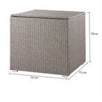 Polyrattan Kussenbox Beige 318L (Schuurtjes-Rekken), Verzenden, Nieuw