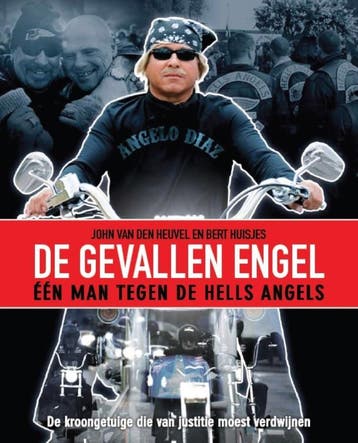 De gevallen engel - Bert Huisjes 9789085107866, Verzenden, Gelezen, Bert Huisjes