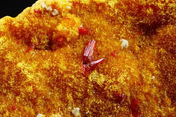 Orpiment met rood Realgar, levendige natuurlijke kleuren met